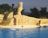 Loro Parque, Tenerife: My favorite part was the Dolphin show.