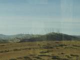 Spain: On the way back from Gibraltar, we saw large fields of windmills for generating power.
