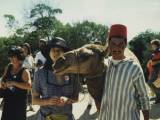 Tangier: But before we go, Lily had to pose with this Camel. We also picked up a couple Fezes from his friend.