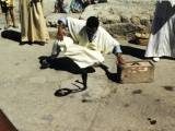 Tangier: Yes boys and girls, that's a real Cobra. And there is no glass between us and the snake!