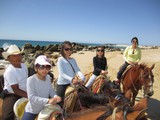 Horseback Riding on the Beach Horseback Riding on the Beach