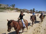 Horseback Riding on the Beach Horseback Riding on the Beach