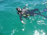 Diving in Cabo Diving in Cabo