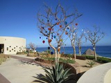 El Farallon at Capella Pedregal El Farallon at Capella Pedregal