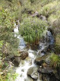 Inca Trail - Day 2 Inca Trail - Day 2