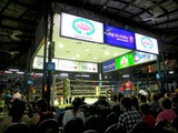 Muay Thai Kickboxing Muay Thai Kickboxing