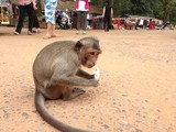 Bike tour of Angkor Wat Bike tour of Angkor Wat