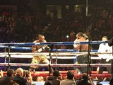 Stiverne vs. Wilder Stiverne vs. Wilder