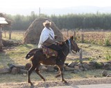 Great Ethiopian Road Trip Great Ethiopian Road Trip